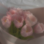 Pur1fy