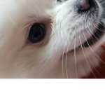 에헤헤헤