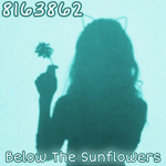 Below The Sunflowers