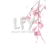 DOLLlFY