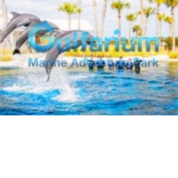 Gulfarium | Dolphin Oasis