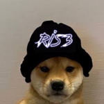 Ris3