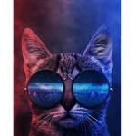 Funky_friday