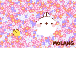 moma and molang