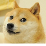 Doge ARMY USDC
