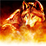 WolfFire Cafè