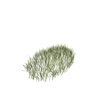 Grass