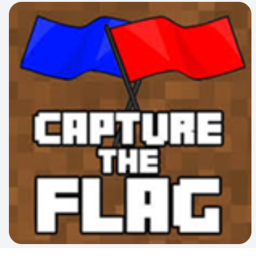 Capture  the flag :3