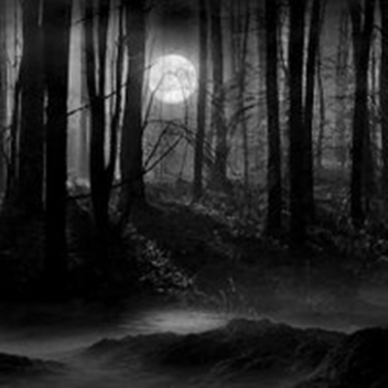 Haunted Woods