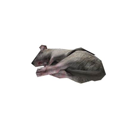 Meshes/dead_rat