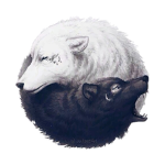 *-_Yin~Yang Club_-*