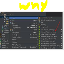 A project not existing