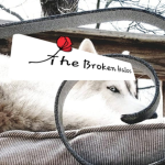 The broken halo's Group Thumbnail