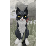 Warriorcats for life