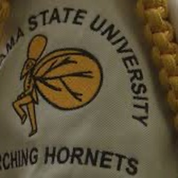 Music Of Arts || Mighty Marching Hornets