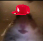 Myles ayo