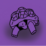 Complex Tortoise
