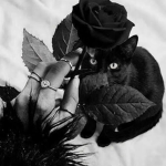 Dark Fumes