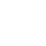 Roblox Asset Site