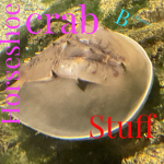 Horseshoe crab Stuff