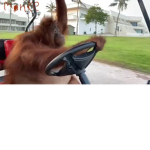 monke united?