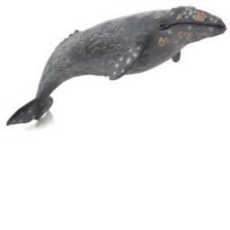 Escape the whale's mouth obby!
