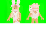 Blossom fans <3