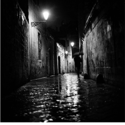 {+.survive the night.+}