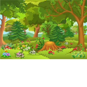 Chaotic Forest Adventures