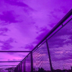 ~ Midnight Skies ~