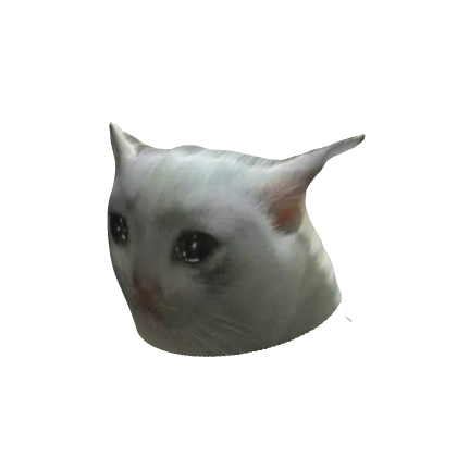sad cat meme