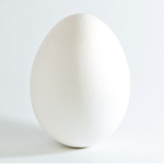 Egg Foundation