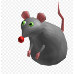 The Rats R Cool