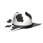 COWboy hat