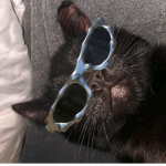 Soy mili y amo los animales