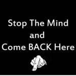 come back here! Alex!!!!!!!