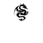 Dragon raids •¤•