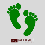PJ Foundation