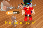 Kangaroos Club
