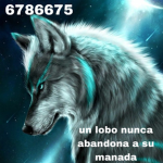 Falconpecuz210 amigos