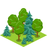 Forest Watch