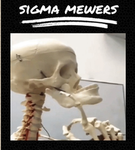 THE SIGMA MEWWERS