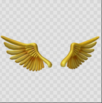Golden Sparkling Wings!