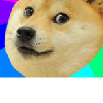 THE DOGE SQUAD YT