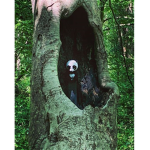 something in the trees...
