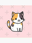 Like cat group
