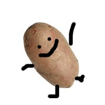 Random papa