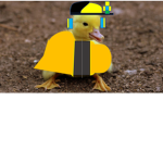EL GRUPO DEL PATO DE ROBLOX