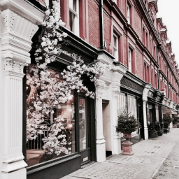 rad roses homestore V2