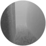 A Hedge